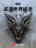 圣武星辰